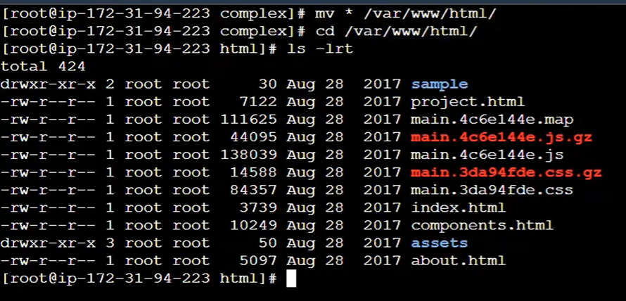 How To Host A Website On AWS EC2